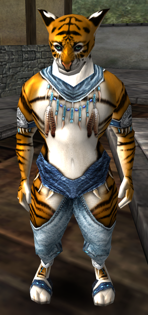 Portrait phanejor.png