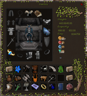 Inventory window.png