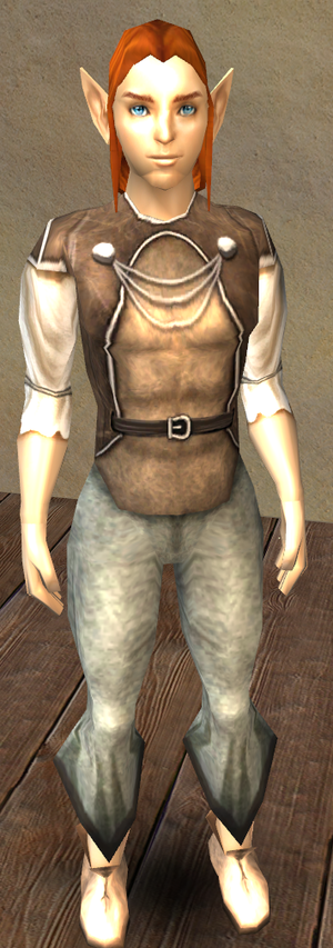 Portrait leshollo.png