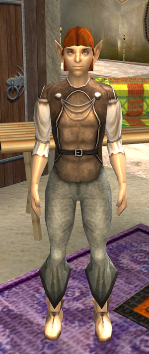 Portrait brintec.png