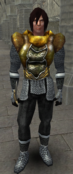 Portrait laranier vieduran.png