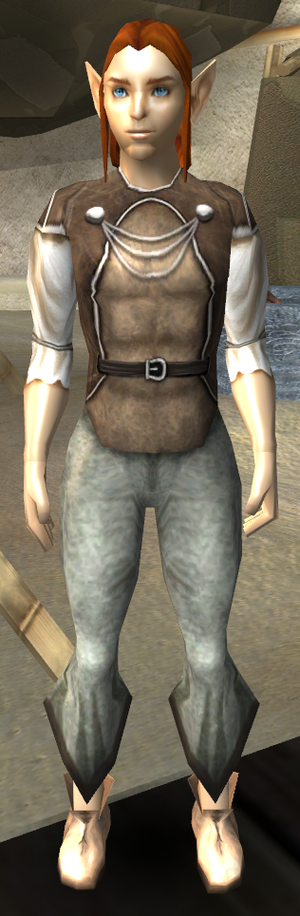 Portrait tebengrin.png